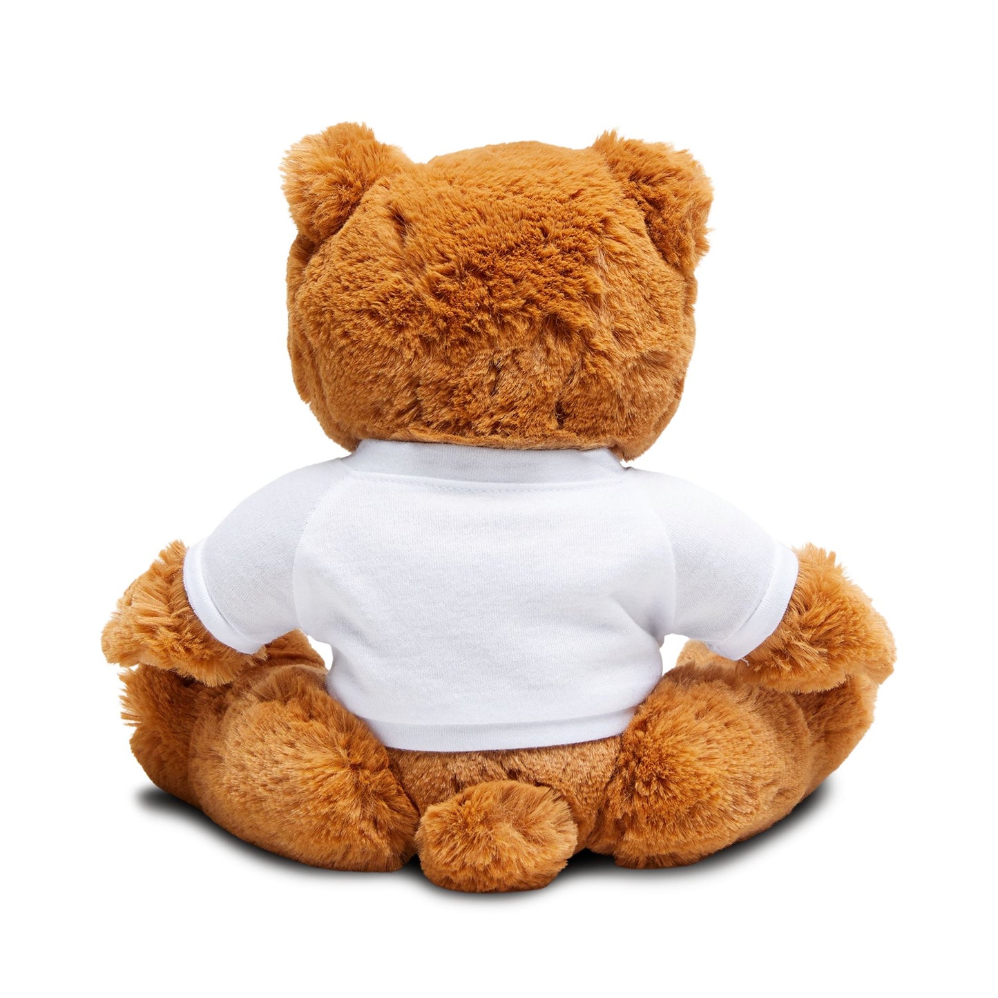 Proud Bear Plush Toy, Soft Teddy Bear with Customizable T-Shirt, Adorable Gift for Kids, Baby Showers, Birthdays, and Celebrations