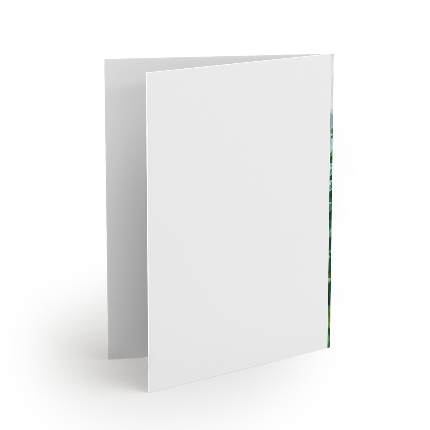 Scenic Greeting Cards - Nature-Inspired Note Cards, Eco-Friendly Stationery for All Occasions, Perfect for Birthdays, Thank You, [...]